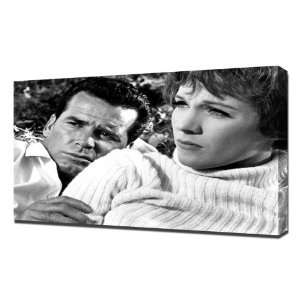  Andrews, Julie (Americanization of Emily, The) 01   Canvas 