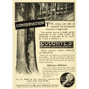   Cream Tooth Paste Brush Conservation Dentifrice   Original Print Ad