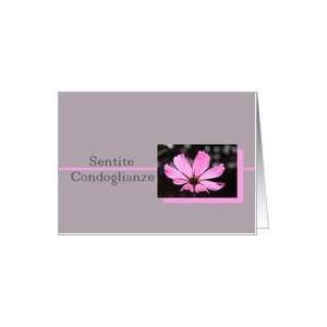  pink cosmos on grey italian sympathy card Card Health 