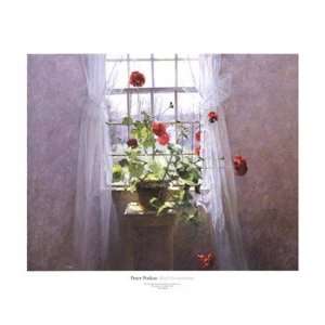  Red Geraniums   Poster by Peter Poskas (24x20)
