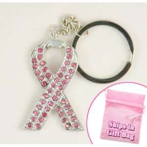  Light Pink Breast Cancer Awareness Ribbon Key Chain Key 