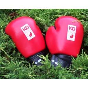 Leather Boxing Gloves 