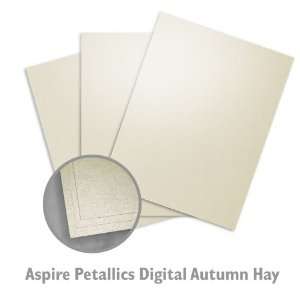  ASPIRE Petallics Digital Autumn Hay Digital Paper   1000 