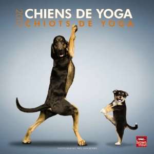  Yoga Puppies/Chiens De Yoga 2012 Wall Calendar 12 X 12 