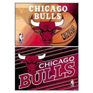    CHICAGO BULLS OFFICIAL LOGO 2X3 MAGNET 2 PACK: Sports & Outdoors