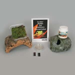  Deluxe Leopard Gecko Habitat Kit without Tank: Industrial 