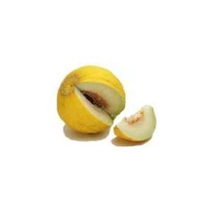  50 CASABA MELON GOLDEN BEAUTY Cucumis Melo Fruit Seeds 