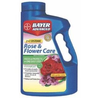   All in One Rose and Flower Care Concentrate: Patio, Lawn & Garden