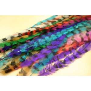  100 Natural Feather Hair Extensions w/ Beads & Latch 