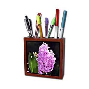  WhiteOak Photography Floral Prints   Spring Hyacinth in 