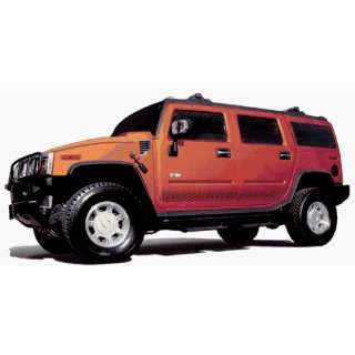 Gridwerks Rugged Sporty Vehicle Graphics (75ft)   Light Gold Metallic