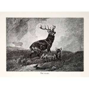  1877 Wood Engraving Edwin Landseer Wildlife Art Deer Stag 