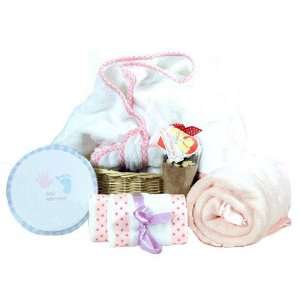  The Sweet Baby Gift Basket  Girl: Toys & Games