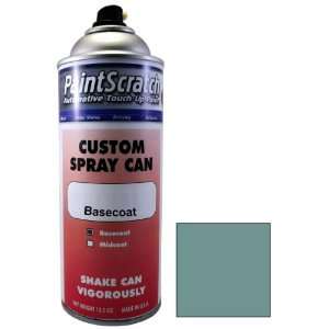 12.5 Oz. Spray Can of Patrician or Ming Green Poly Touch Up Paint for 