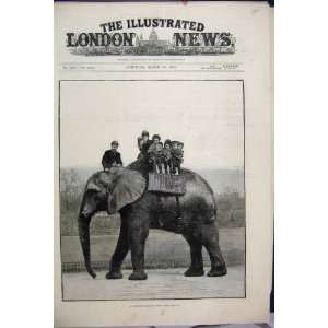 1882 Jumbo Elephant Children Riding Park Antique Print  