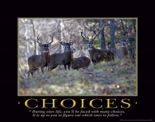 CHOICES WHITETAIL DEER BOW HUNTING POSTER #DENV49  