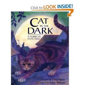   Cat in the Dark (9781845071776) Fiona Waters, Sophy Williams Books