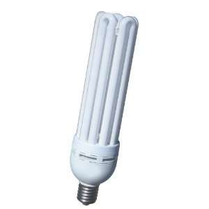  Compact Fluorescent   Daylight   125W Patio, Lawn 
