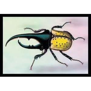  Vintage Art Horned Beetle #1   15377 6