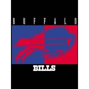  Buffalo Bills 60x80 All Pro Team Blanket Sports 