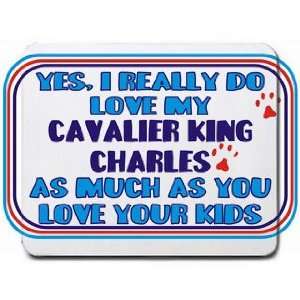  Yes, I really do love my CAVALIER KING CHARLES as much as 