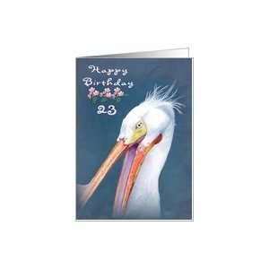  Happy 23rd Birthday Wild Pelican Card Toys & Games