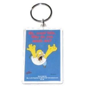  Simpsons Homer Why Mock Me Lucite Keychain SK168 Toys 