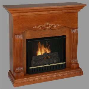 Real Flame 7800 Carolina Indoor Gel Fireplace: Home 