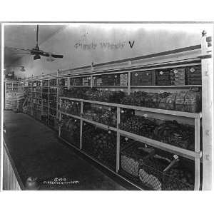  Interior,Piggly Wiggly supermarket,Tennessee,TN,c1918 