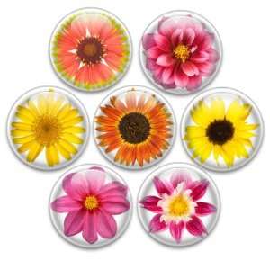  Decorative Push Pins or Magnets 7 Small Flowers: Kitchen 
