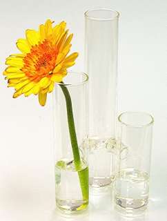 Tube Glass Vase 8 x 4  