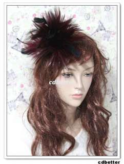   Layered Feather Flexible Brooch Pin Hair Clip Headdress NEW  