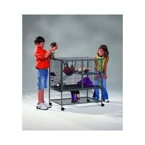  Ferret Nation  Single Unit with Stand: Pet Supplies