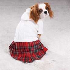 Dog XXS BACK TO SCHOOL Dress Sweater Clothes XX SMALL  