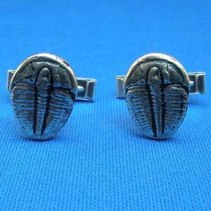 Sterling Silver Elrathia kingi trilobite cuff links, hand crafted, 5/8 