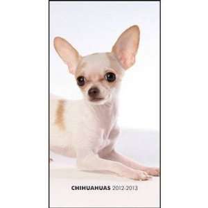  Chihuahuas 2012 Pocket Planner