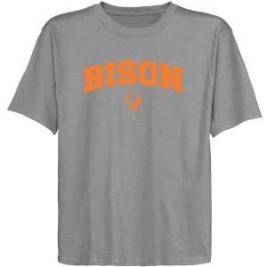    NCAA Bucknell Bison Youth Ash Logo Arch T shirt