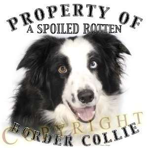  Border Collie dog breed THROW PILLOW 16 x 16: Home 