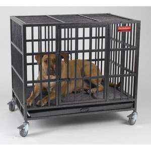 ProSelect Empire Dog Crate Worlds Strongest Cage Medium  