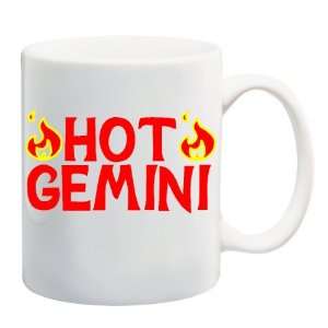   HOT GEMINI Mug Coffee Cup 11 oz ~ Astrology Birthday 