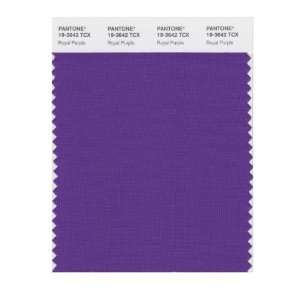   SMART 19 3642X Color Swatch Card, Royal Purple: Home Improvement