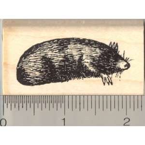 Mole Rubber Stamp Arts, Crafts & Sewing