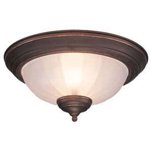   Ceiling Fan Light Kit Light Kits & Accessories   Roman Bronze: Home