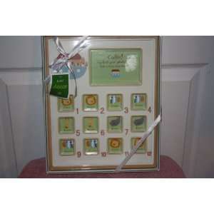  Green Animal Arc First Year Picture Frame Baby
