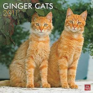 Kalender 2011 Ginger Cats   Rote Katzen   Browntrout  