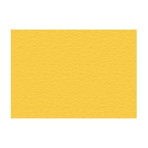  Chartpak AD Markers   Box of 6   Cadmium Yellow Arts 