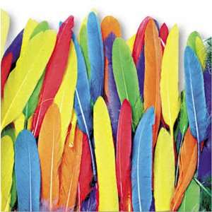  Creativity Street  Duck Quill Feathers, 3 oz. Pack, 96 