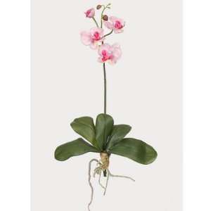 Nearly Natural Mini Phalaenopsis Silk Orchid Flower w/Leaves (6 Stems 