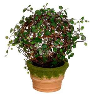  12 Angel Vine Ball Silk Topiary Plant w/Pot (case of 4 