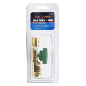  Battery Terminal Disconnect Switch: Automotive